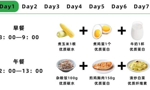 减肥营养搭配-减脂三大营养配比网-分享减脂三大营养配比是什么，减脂营养餐搭配食谱知识库